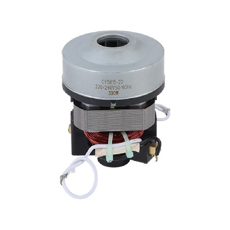 氣球充氣泵電機(jī)批發(fā) 家用微型直流電動機(jī) 550W3A低噪音微型電機(jī)